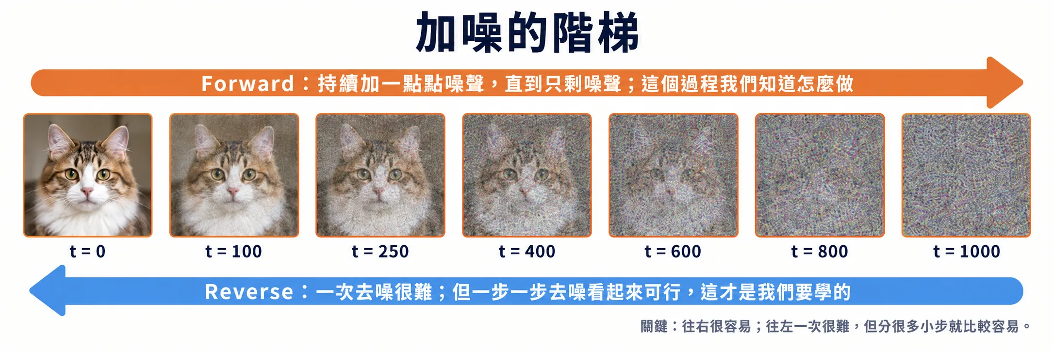 示意圖:同一張貓的照片排成七格,從 t=0 的原圖逐步加噪到 t=1000 的純噪聲,上方一條向右的箭頭寫著「forward:加一點點噪聲——我們本來就會做」,每格下方標 t 與 √ᾱ_t、σ_t 的數值。