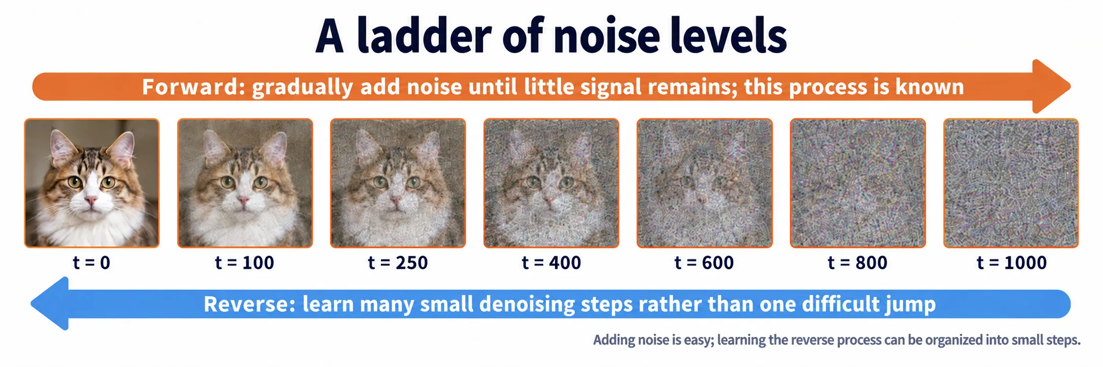 Seven frames of a cat image, gradually corrupted from clean data at t=0 to nearly pure noise at t=1000.