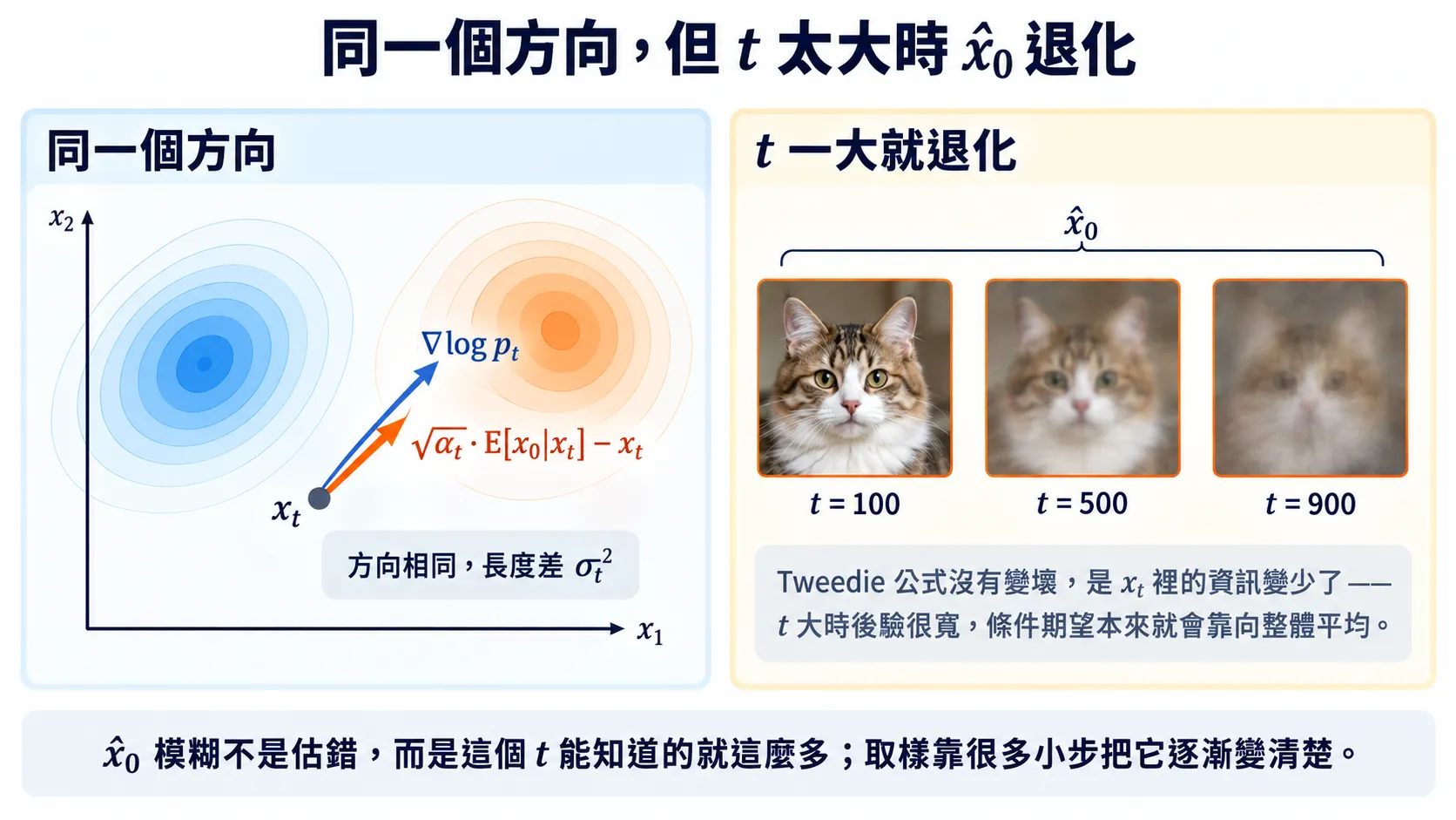 示意圖：左邊在等高線地形上，從 x_t 畫出兩支重疊的箭頭，分別標 ∇log p_t 與 √ᾱ_t·E[x₀|x_t] − x_t，並註明「方向相同，長度差 σ_t²」；右邊三張 x̂₀ 縮圖對應 t=100、500、900，從清楚的貓逐漸變成模糊的平均臉。