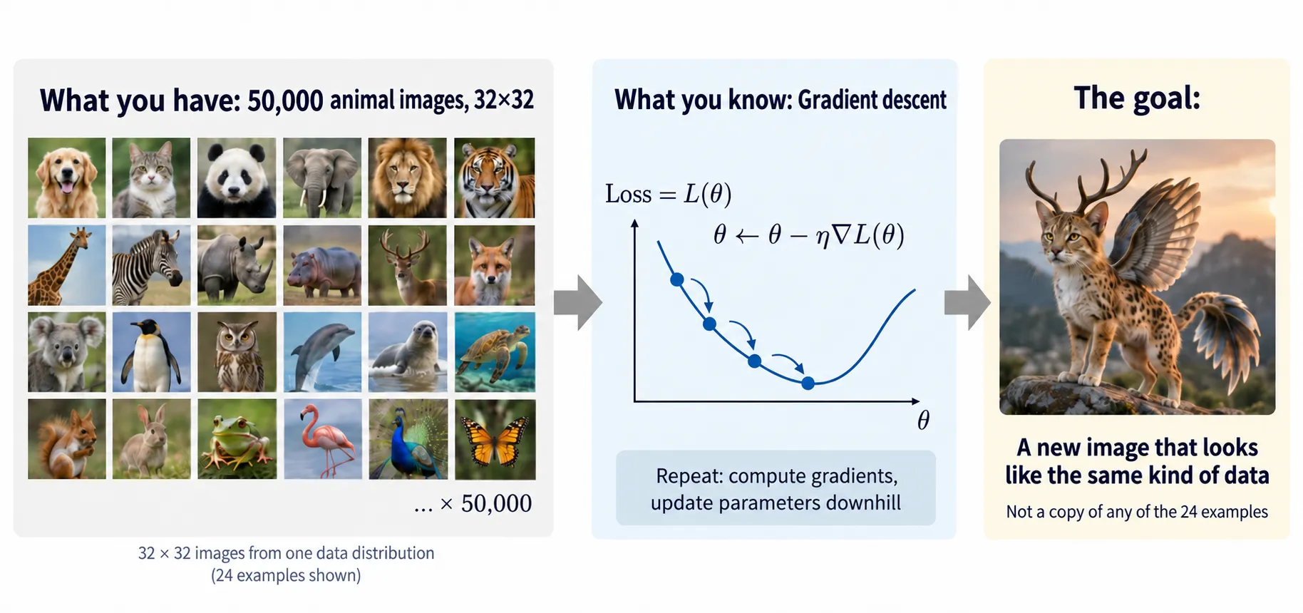 50,000 animal images, a loss curve and gradient update, and a new image marked with a question mark.
